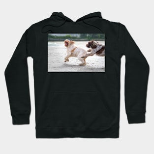 Playtime on the beach Spinoni Hoodie